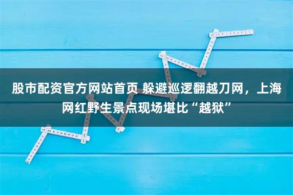 股市配资官方网站首页 躲避巡逻翻越刀网，上海网红野生景点现场堪比“越狱”